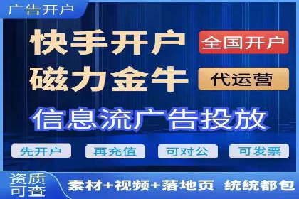 百度广告投放策略优化及成功案例解析